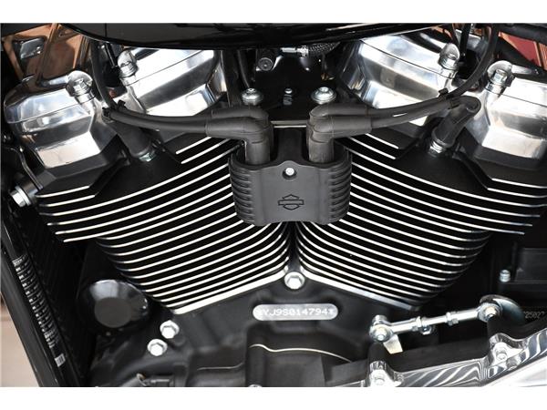 2025 HARLEY-DAVIDSON STREET BOB