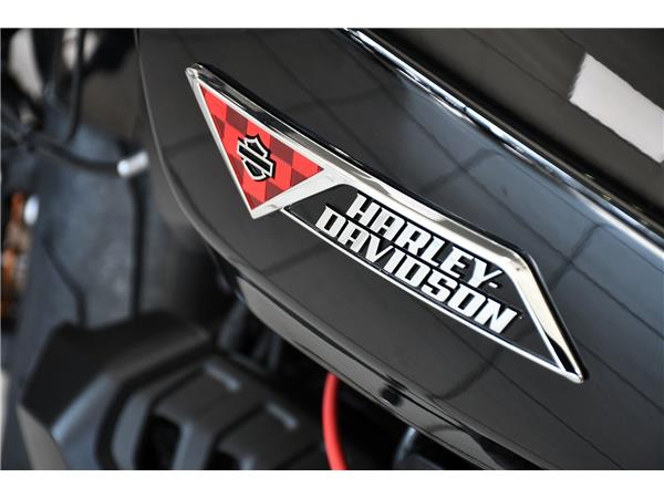 2025 HARLEY-DAVIDSON SPORTSTER S