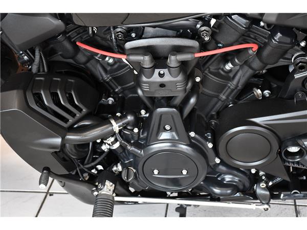2025 HARLEY-DAVIDSON SPORTSTER S