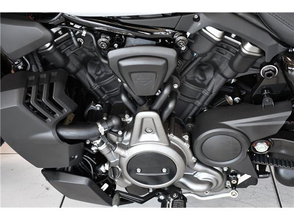 2025 HARLEY-DAVIDSON NIGHTSTER SPECIAL