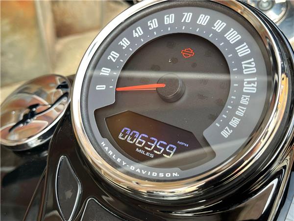 2018 Harley-Davidson Softail