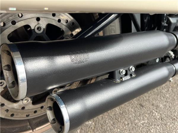 2024 Harley-Davidson Softail
