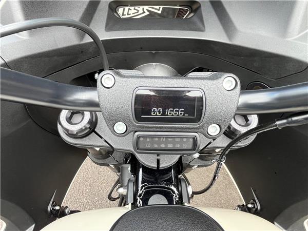 2024 Harley-Davidson Softail