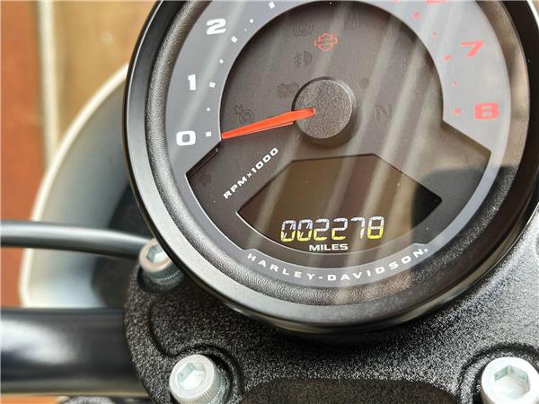 2023 Harley-Davidson Softail