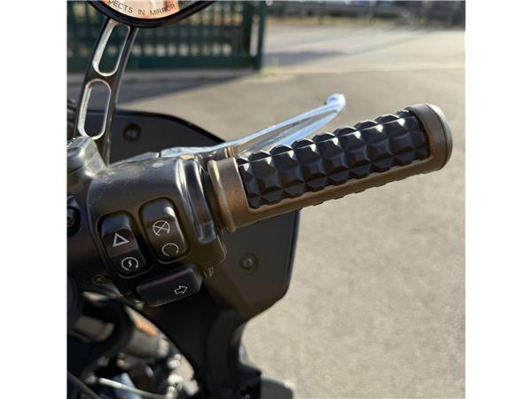 2022 HARLEY-DAVIDSON LOW RIDER