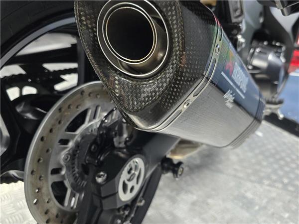 2024 Kawasaki Ninja 1000SX