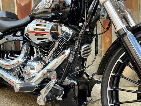 2017 Harley-Davidson Softail