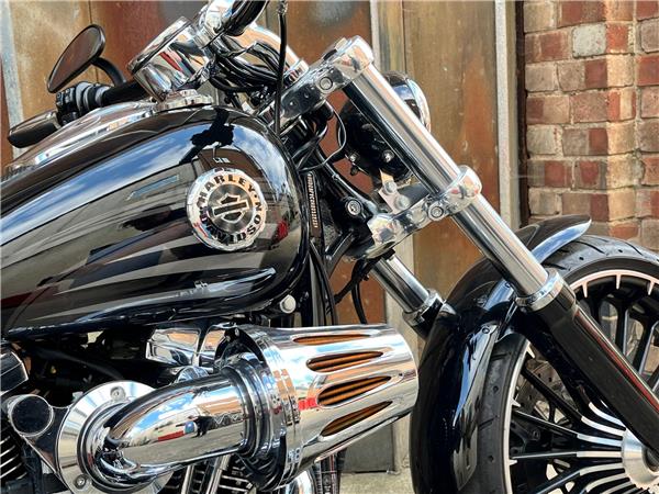 2017 Harley-Davidson Softail