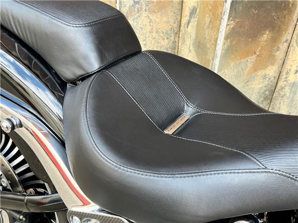 2017 Harley-Davidson Softail