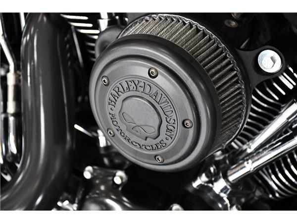 2016 HARLEY-DAVIDSON SOFTAIL FLSS  SLIM S