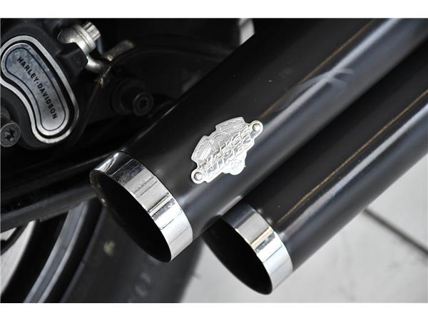 2016 HARLEY-DAVIDSON SOFTAIL FLSS  SLIM S