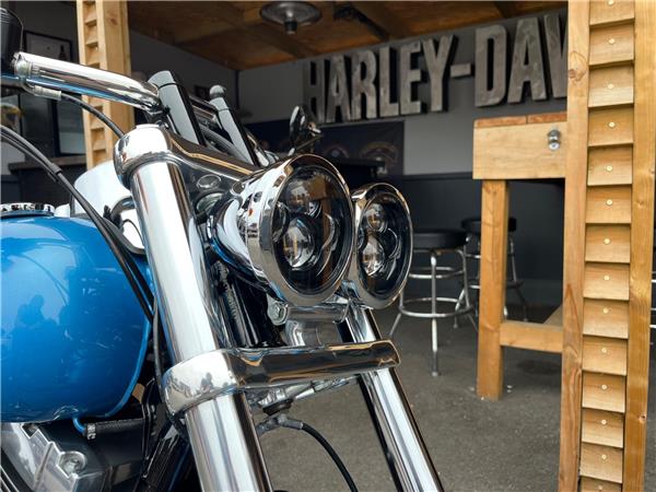 2011 Harley-Davidson Dyna