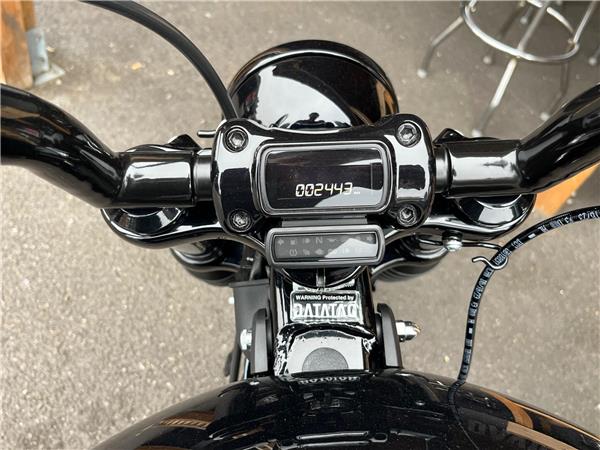 2024 Harley-Davidson Softail
