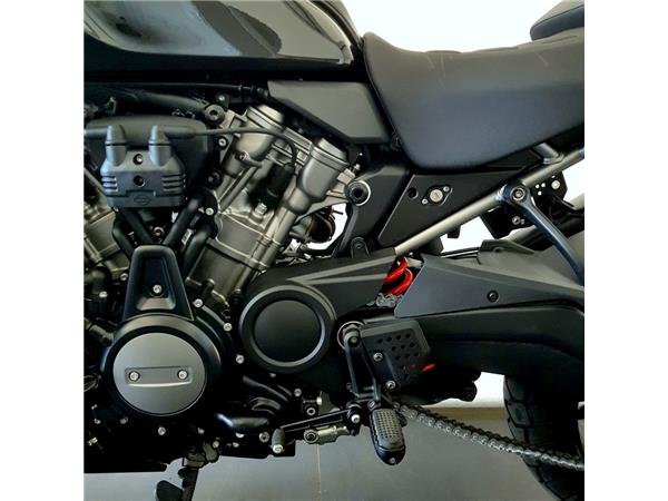 HARLEY-DAVIDSON PAN AMERICA 