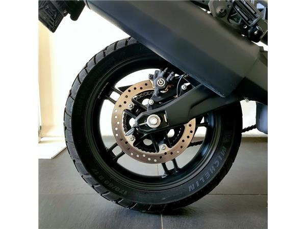 HARLEY-DAVIDSON PAN AMERICA 