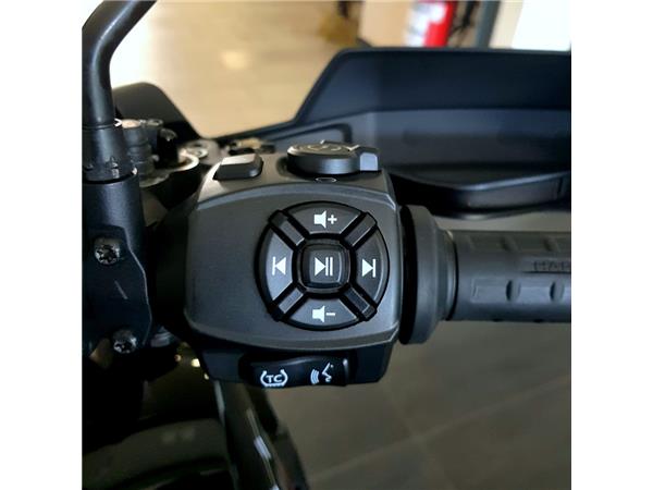 HARLEY-DAVIDSON PAN AMERICA 