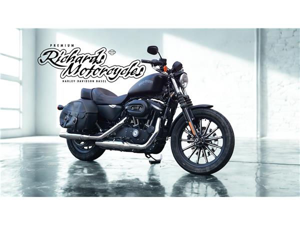 2015 harley-davidson XL 883 N Sportster Iron ABS