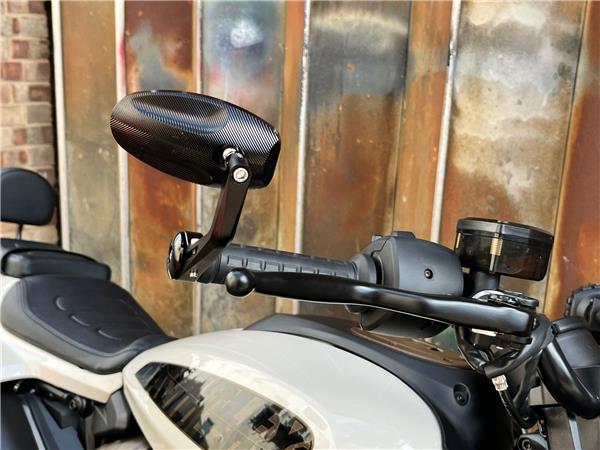 2022 Harley-Davidson Sportster