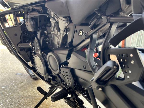 2021 Harley-Davidson Pan America
