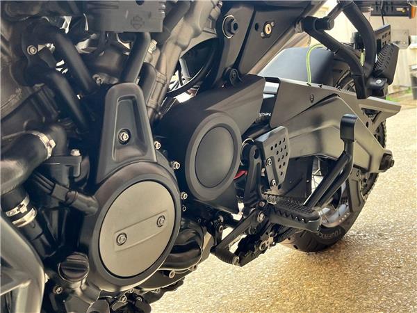 2021 Harley-Davidson Pan America
