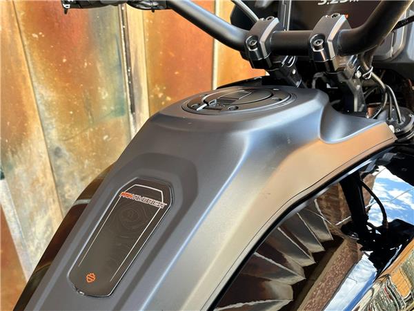 2022 Harley-Davidson Pan America