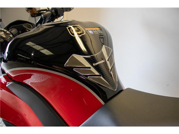 2024 Kawasaki Ninja 1000SX 40th Anniversary Performance Tourer