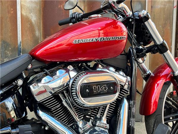 2019 Harley-Davidson Softail