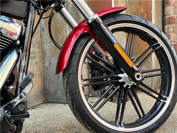2019 Harley-Davidson Softail
