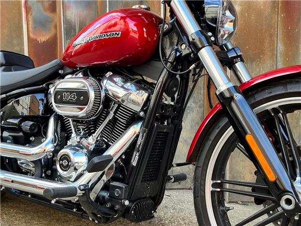 2019 Harley-Davidson Softail