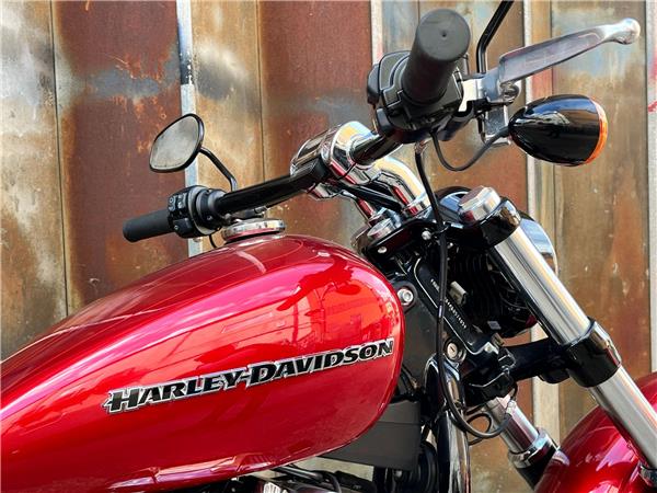 2019 Harley-Davidson Softail