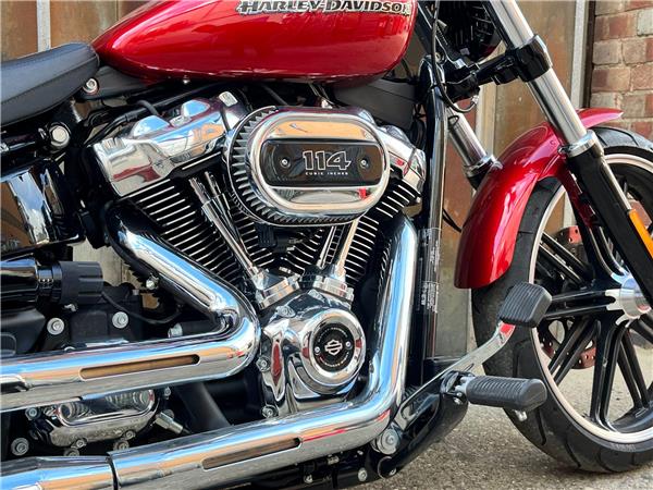 2019 Harley-Davidson Softail