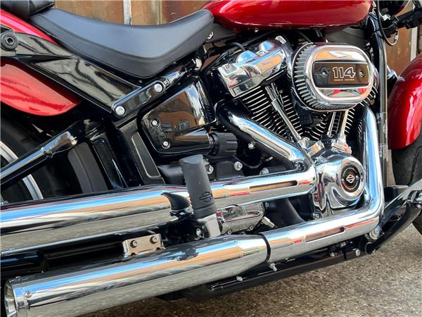 2019 Harley-Davidson Softail