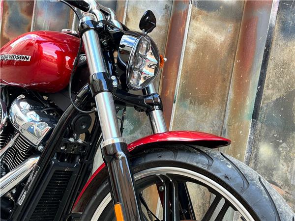 2019 Harley-Davidson Softail