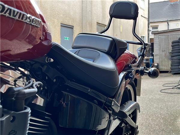 2019 Harley-Davidson Softail
