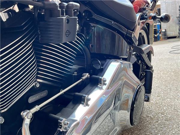 2019 Harley-Davidson Softail