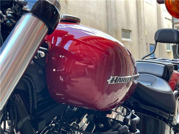 2019 Harley-Davidson Softail