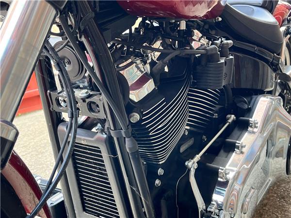 2019 Harley-Davidson Softail