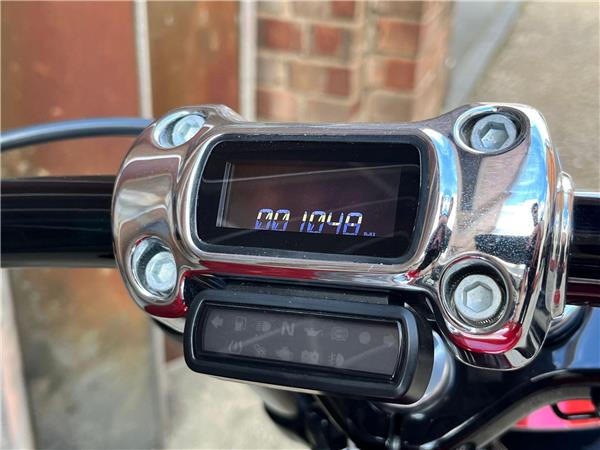 2019 Harley-Davidson Softail