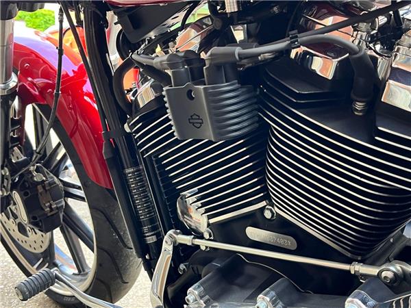 2019 Harley-Davidson Softail