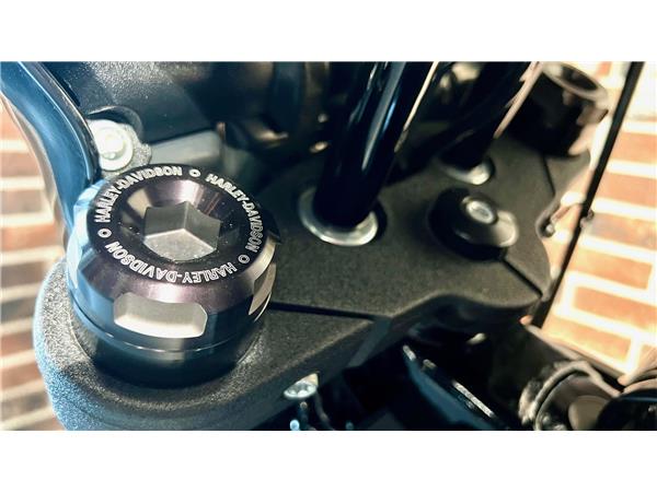 2020 harley-davidson FXLRS Low Rider S 114 ABS