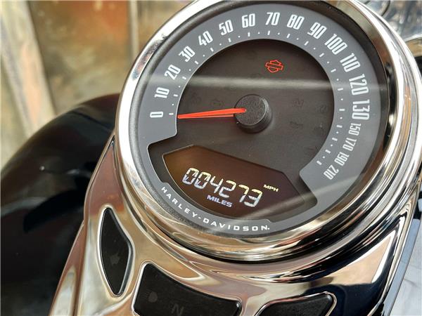 2023 Harley-Davidson Softail