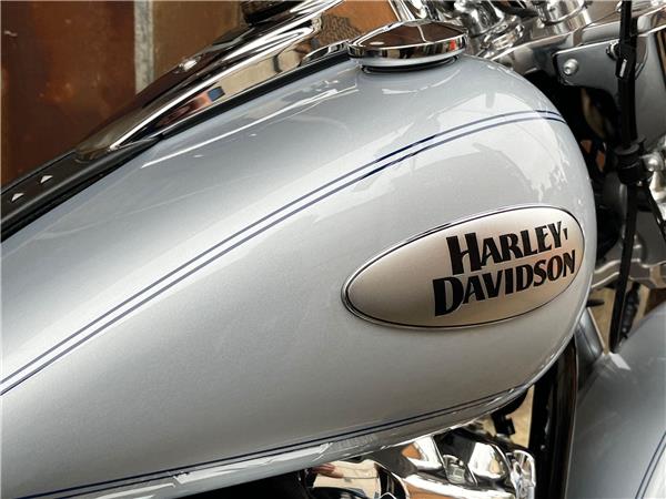 2023 Harley-Davidson Softail
