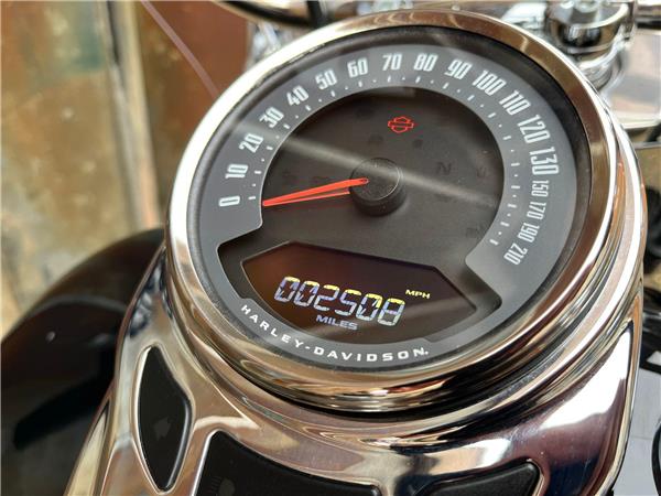 2023 Harley-Davidson Softail
