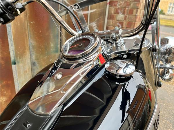 2023 Harley-Davidson Softail