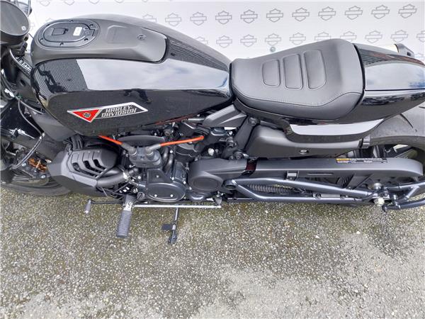 2025 HARLEY-DAVIDSON SPORTSTER 1250