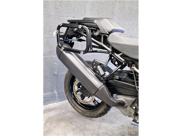 2022 HARLEY-DAVIDSON PAN AMERICA