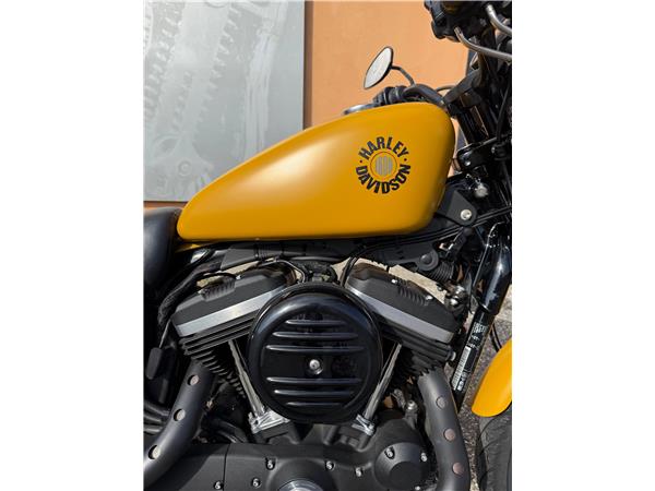 Harley-Davidson Sportster XL883N - 883 Iron