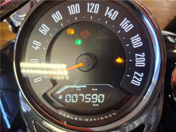 Harley-Davidson Softail-Cruiser