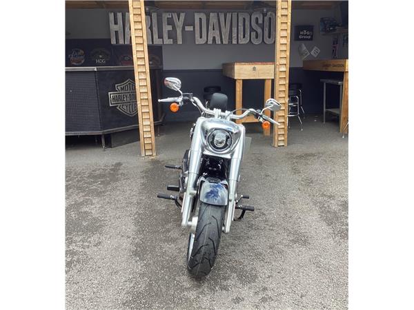 2020 Harley-Davidson Softail