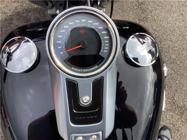 2020 Harley-Davidson Softail